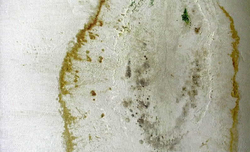 Grzyb na ścianie w zawilgoconym domu. fot Grupa ATLAS Grzyb na ścianie w zawilgoconym domu. fot Grupa ATLAS